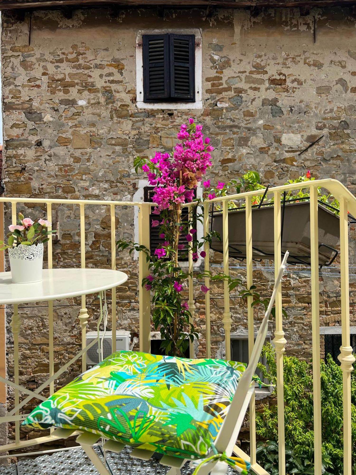 Casa Salvia Apartment